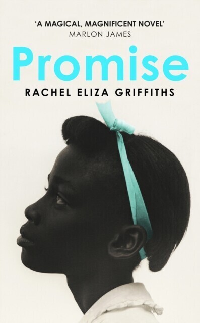 Promise main product photo