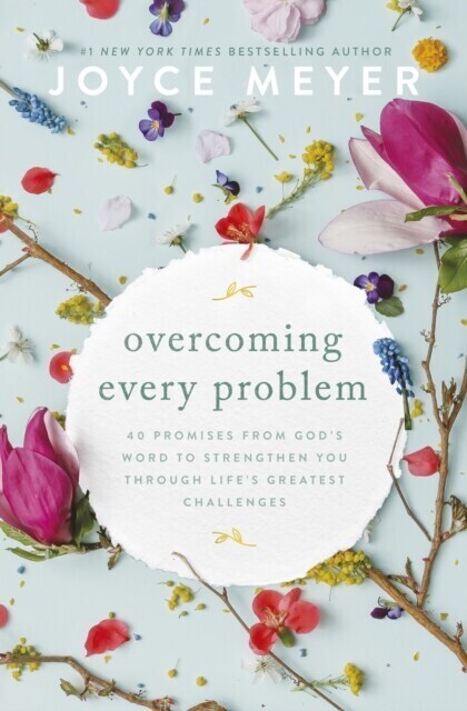 Overcoming Every Problem main product photo