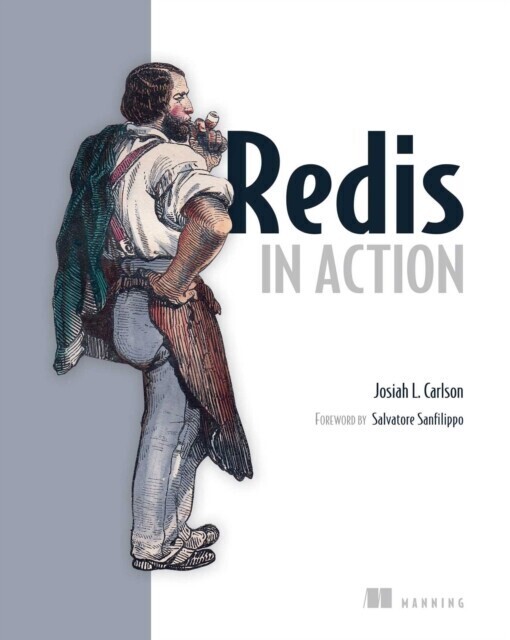 Redis in Action main product photo