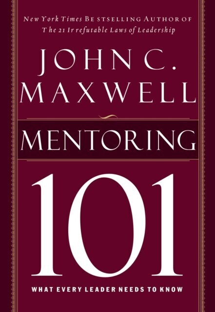 Mentoring 101 main product photo