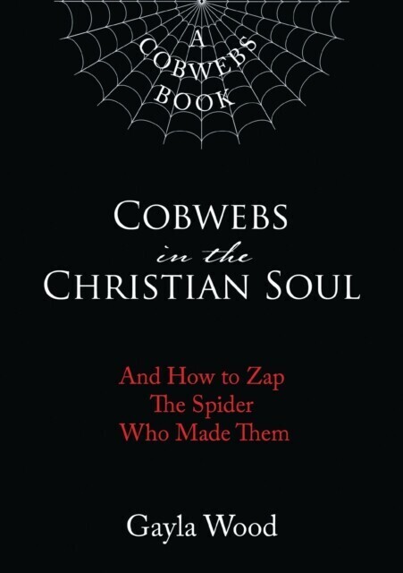 Cobwebs in the Christian Soul main product photo