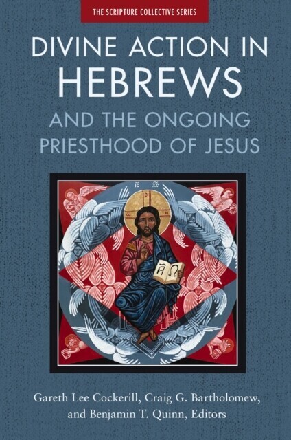 Divine Action in Hebrews main product photo