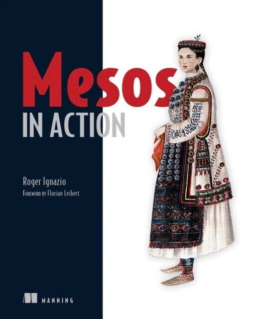Mesos in Action main product photo