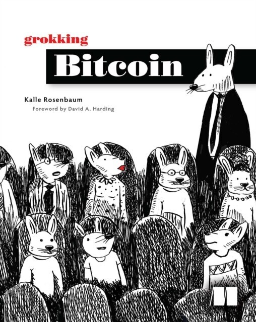 Grokking Bitcoin main product photo