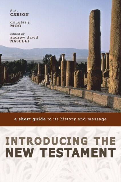 Introducing the New Testament main product photo