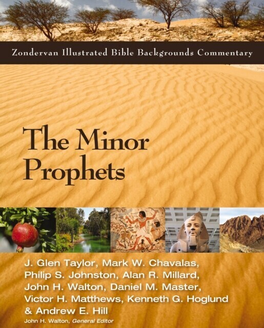 Minor Prophets main product photo