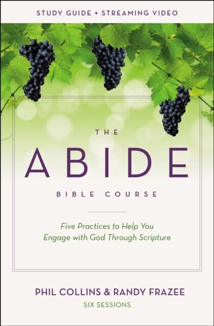 Abide Bible Course Study Guide plus Streaming Video main product photo