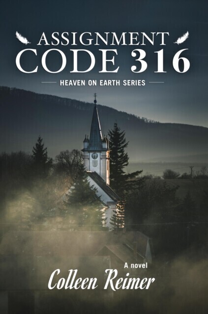 Assignment Code 316 main product photo