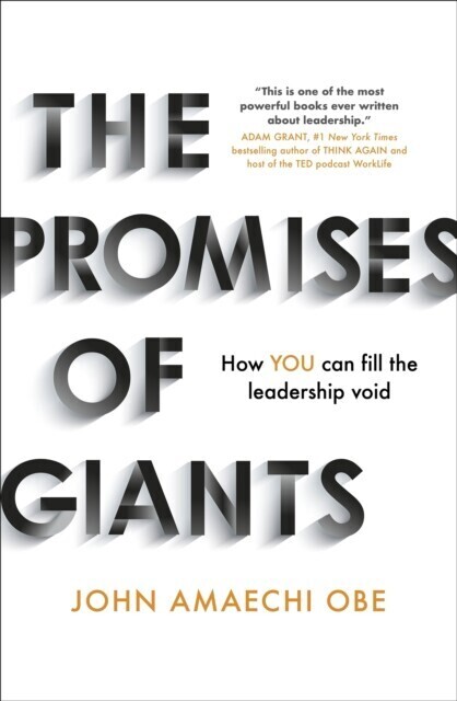 Promises of Giants main product photo