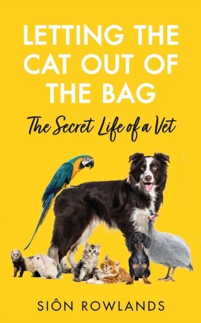 Letting the Cat Out of the Bag main product photo