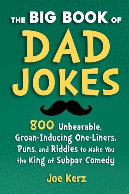 Big Book of Dad Jokes main product photo