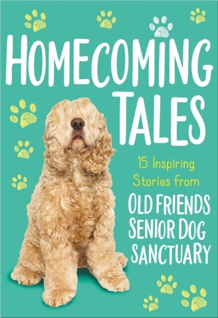 Homecoming Tales main product photo
