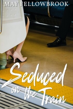 Seduced on the Train