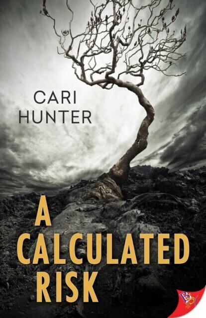 Calculated Risk main product photo