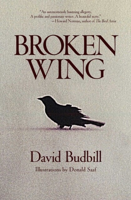 Broken Wing main product photo