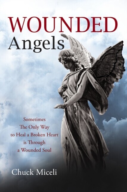 Wounded Angels main product photo