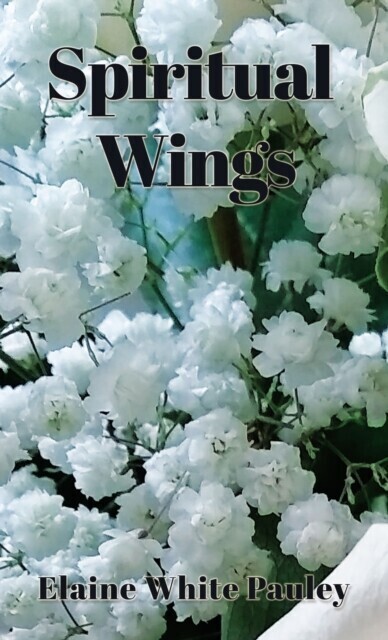 Spiritual Wings main product photo
