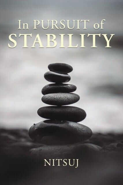 In Pursuit of Stability main product photo