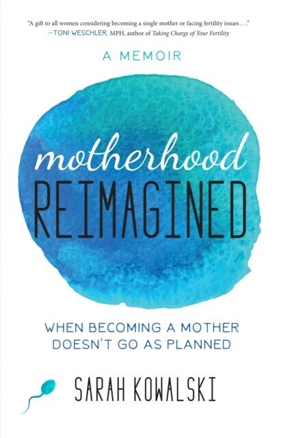 Motherhood Reimagined main product photo