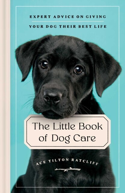 Little Book of Dog Care main product photo