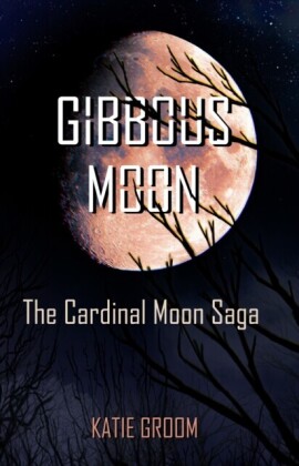 Gibbous Moon