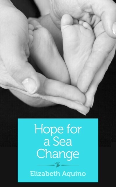 Hope for a Sea Change main product photo