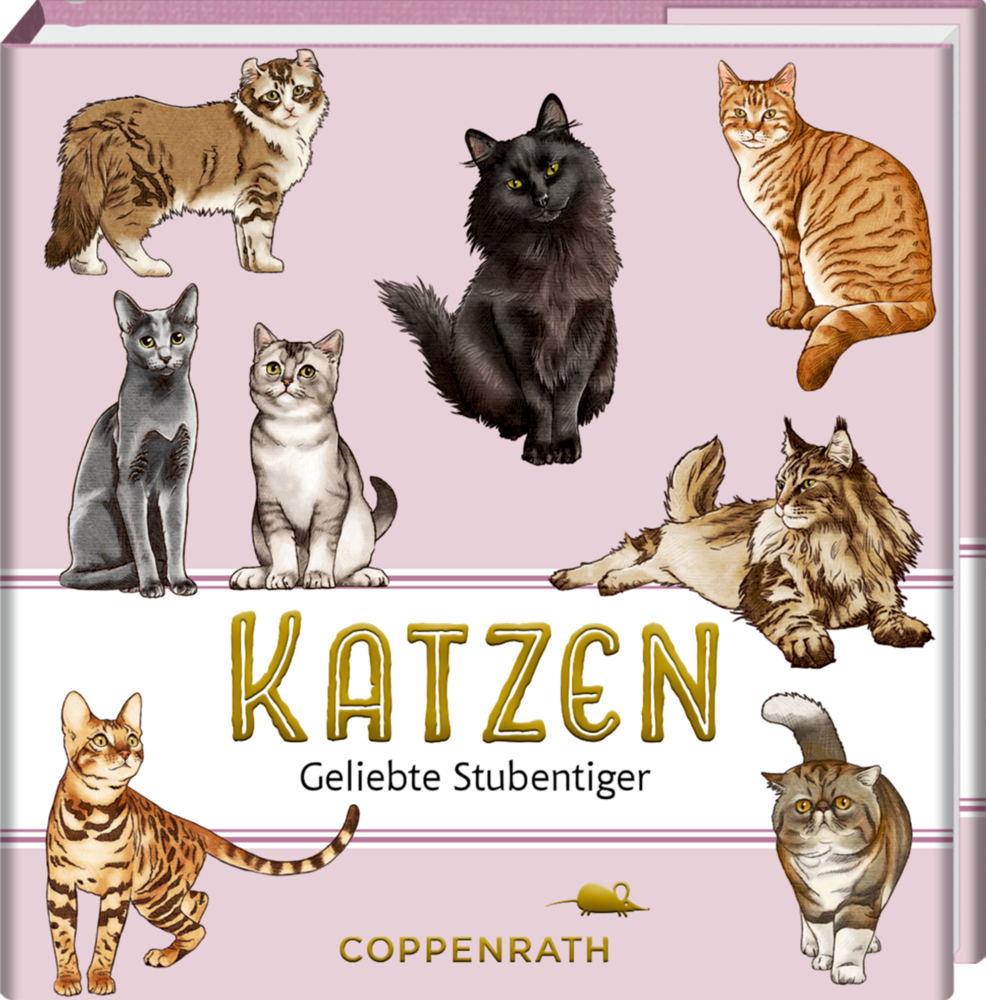 Katzen main product photo