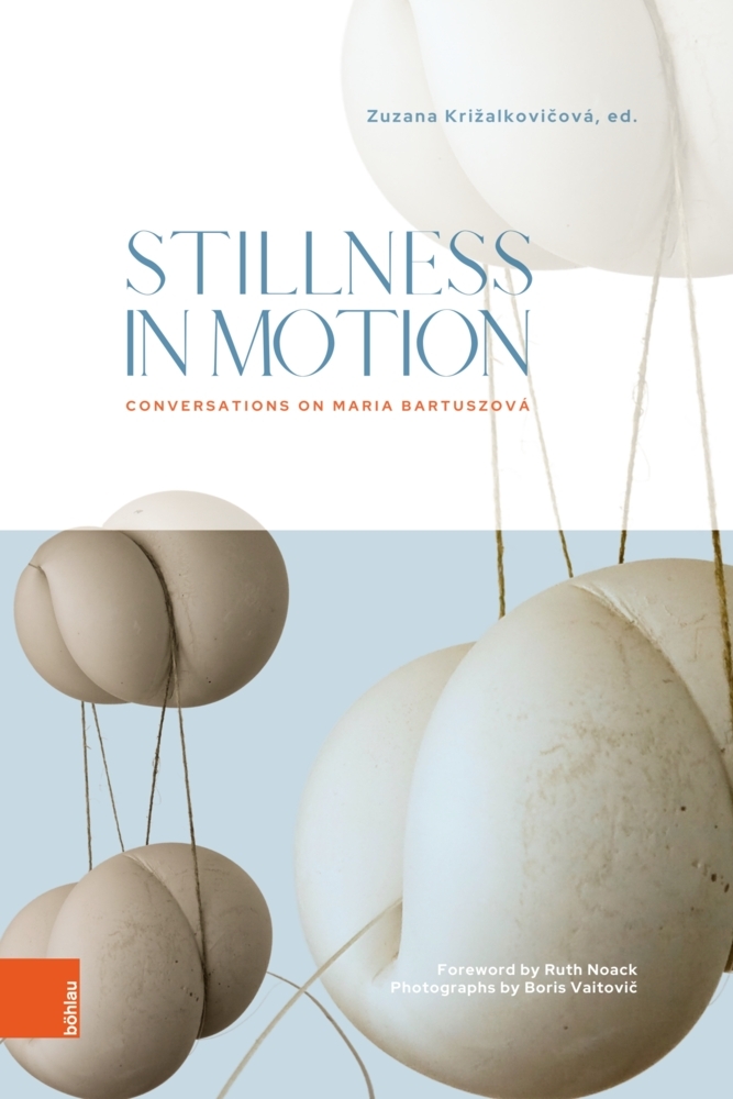 Stillness in Motion main product photo