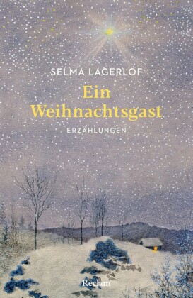 Ein Weihnachtsgast