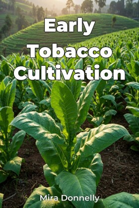Early Tobacco Cultivation