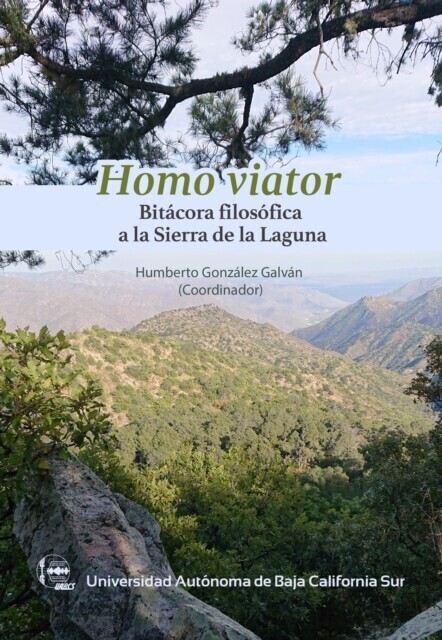Homo viator main product photo