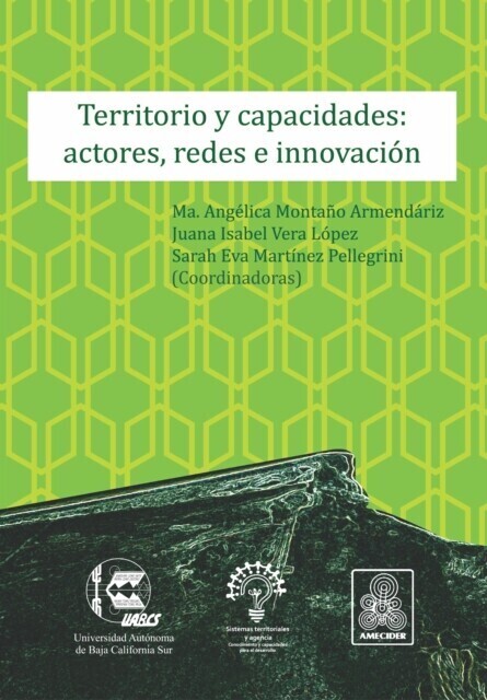 Territorio y capacidades: actores, redes e innovación main product photo