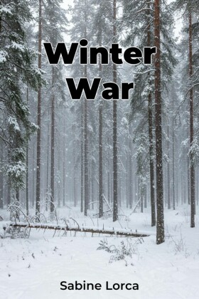 Winter War