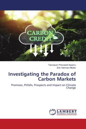 Investigating the Paradox of Carbon Markets
