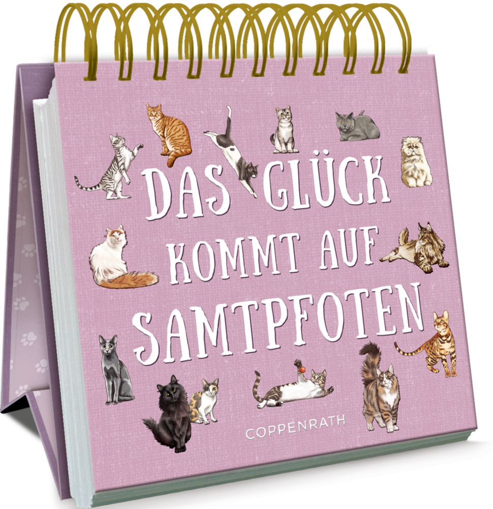 Das Glück kommt auf Samtpfoten main product photo