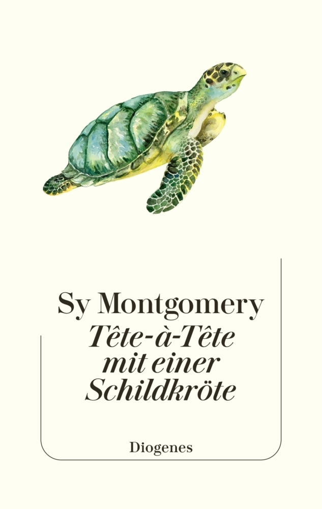 Tête-à-Tête mit einer Schildkröte main product photo