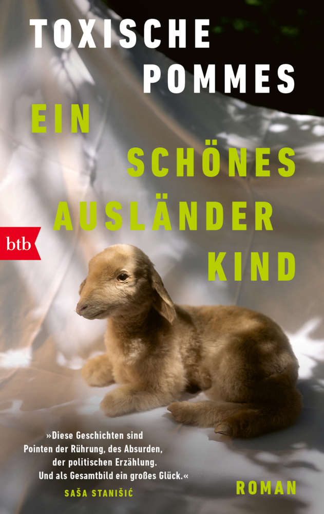 Ein schönes Ausländerkind main product photo