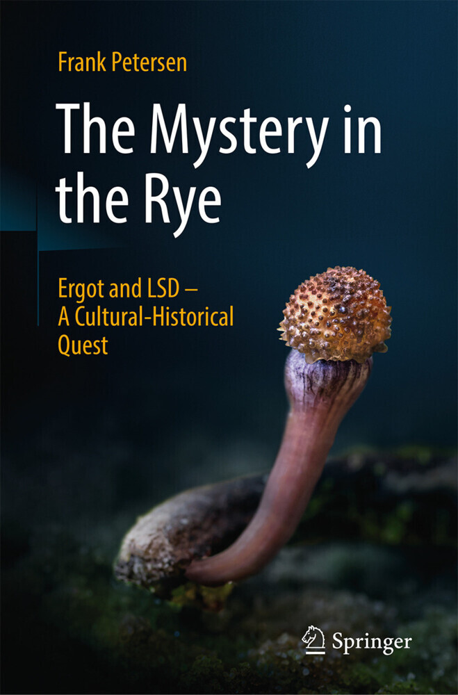 The Mystery in the Rye main product photo
