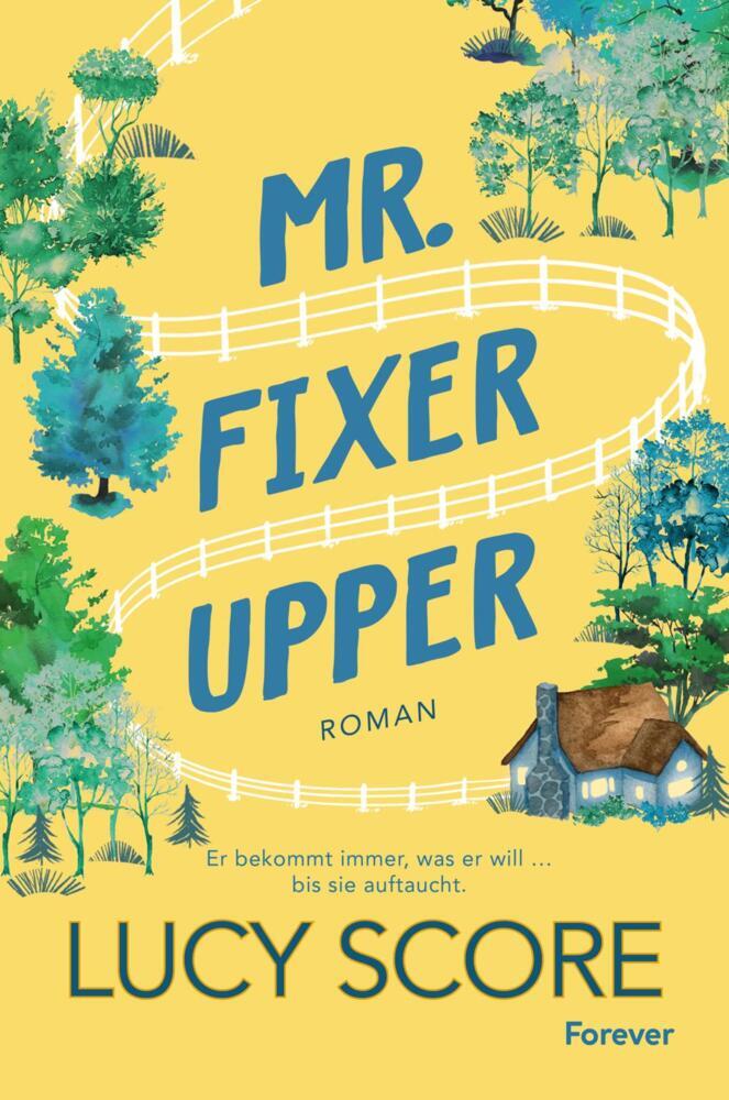 Mr. Fixer Upper main product photo