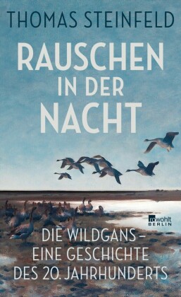 Rauschen in der Nacht