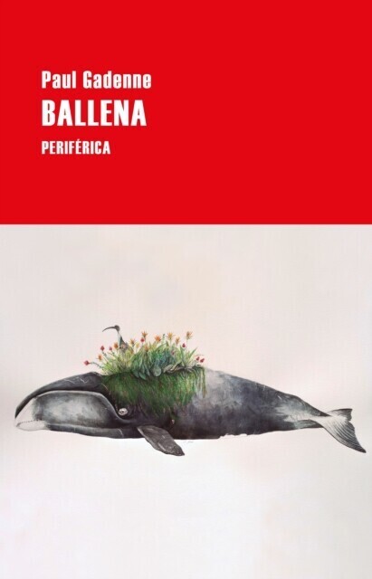 Ballena main product photo
