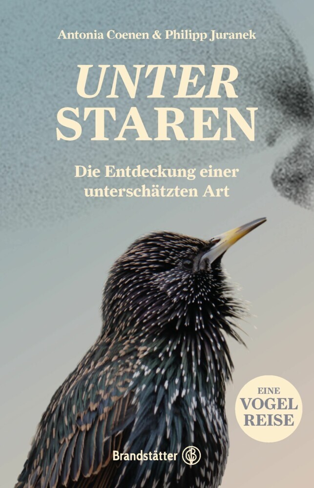 Unter Staren main product photo