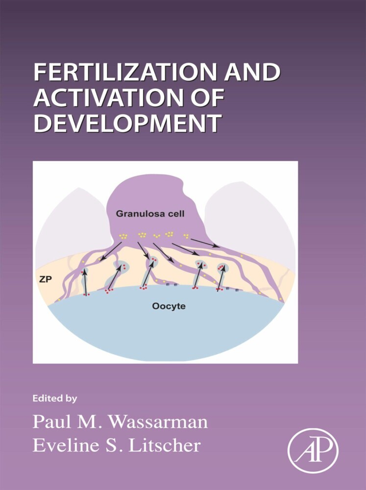 Current Topics in Developmental Biology main product photo
