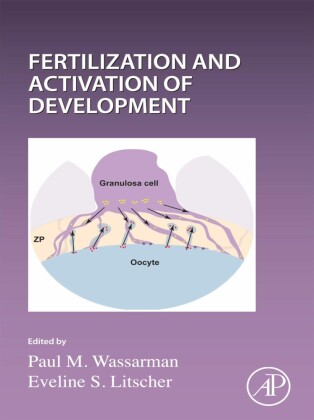 Current Topics in Developmental Biology