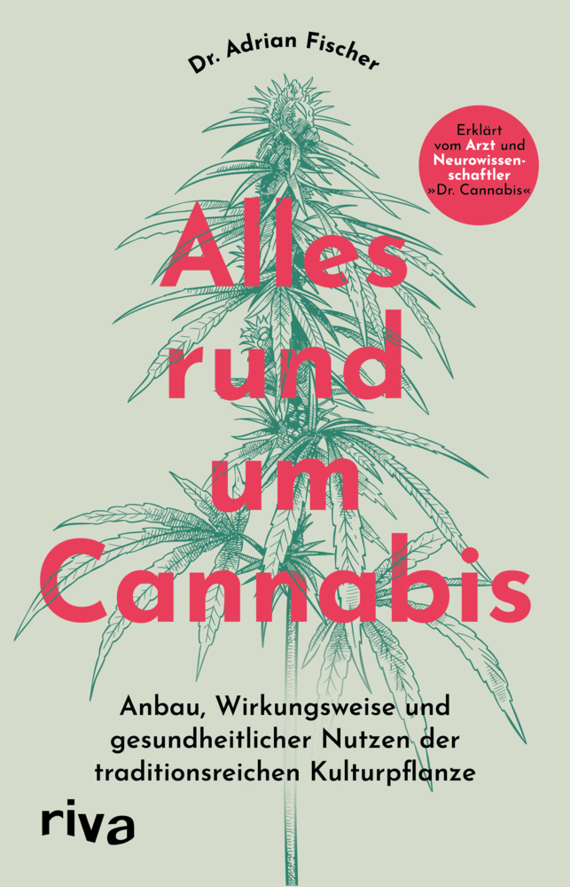 Alles rund um Cannabis main product photo