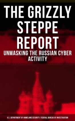 Grizzly Steppe Report (Unmasking the Russian Cyber Activity)