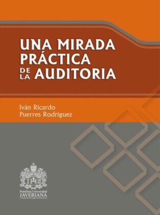 Una mirada práctica de la auditoría