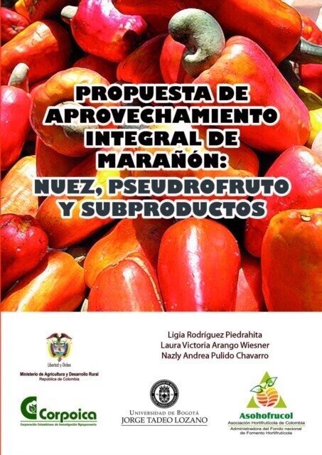 Propuesta tecnológica para el aprovechamiento integral del marañón: nuez, pseudofruto y subproductos main product photo