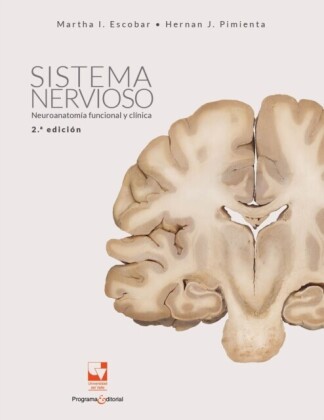 Sistema nervioso