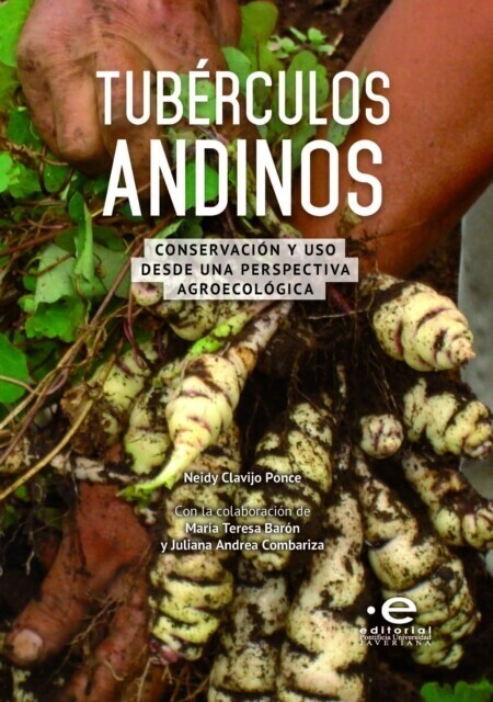 Tubérculos andinos main product photo